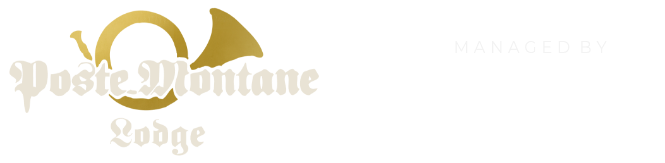 footer-logo